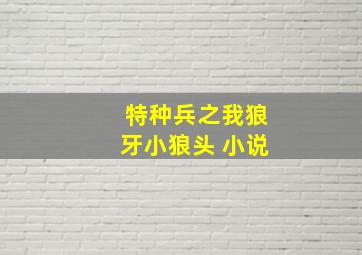 特种兵之我狼牙小狼头 小说